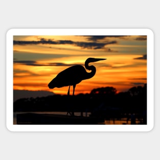 Sunset Heron Sticker